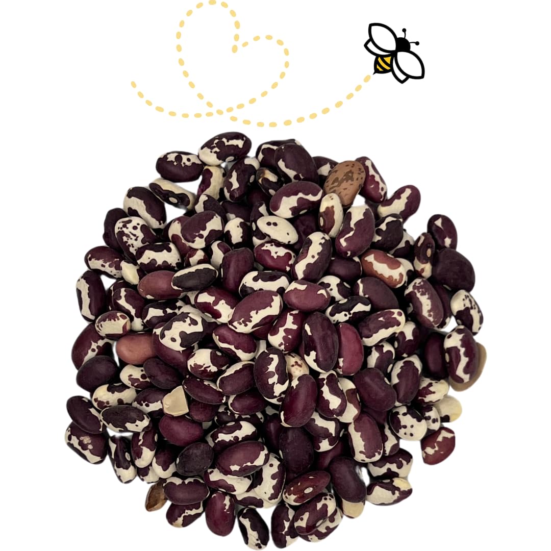 Anasazi, Orca, Christmas Lima: A Cook-Time and Substitution Guide for Heirloom Beans